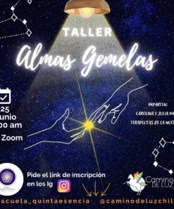 Taller Almas Gemelas